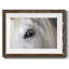 Balearic Island Horse, impression sur papier-835999621-835999623