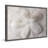 Shell Finger - Single Picture Frame Print-1134882292