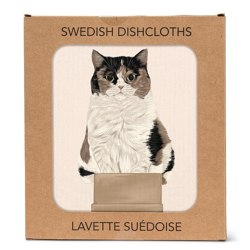 Chat dans une boîte