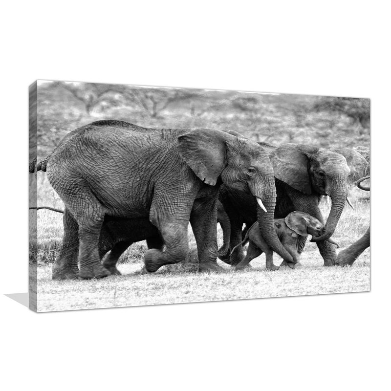 Famille d'éléphants, reproduction de photo, H 18 po x l 30 po x P 1 po, Toile tendue