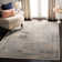 Evanoff Oriental Stone/Blue Area Rug