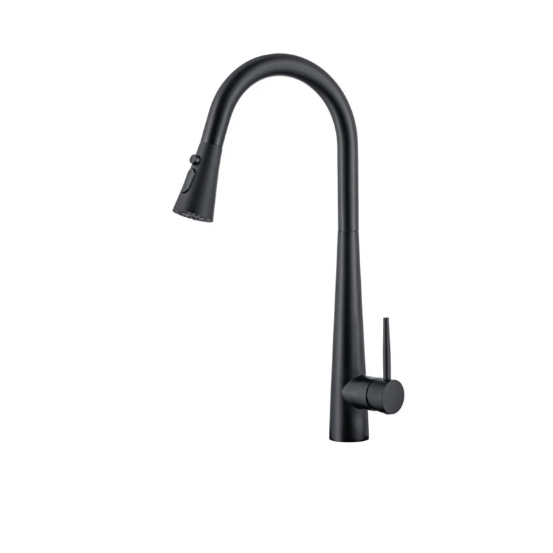 AvaMalis Pull Down Kitchen Faucet, Matt Black