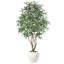 Arbre à ficus artificiel Adcock 8 pi avec pot à fleurs blanc 18 po
