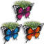 Pierrepont Wall Planter