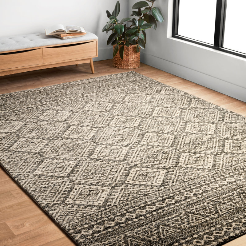 Aparicio Southwestern Indoor Rug, Rectangle 5'3" x 7'7"