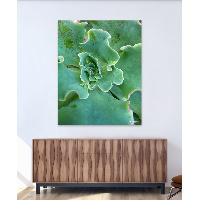Succulent Center 3 Print by Joe Ruggiero