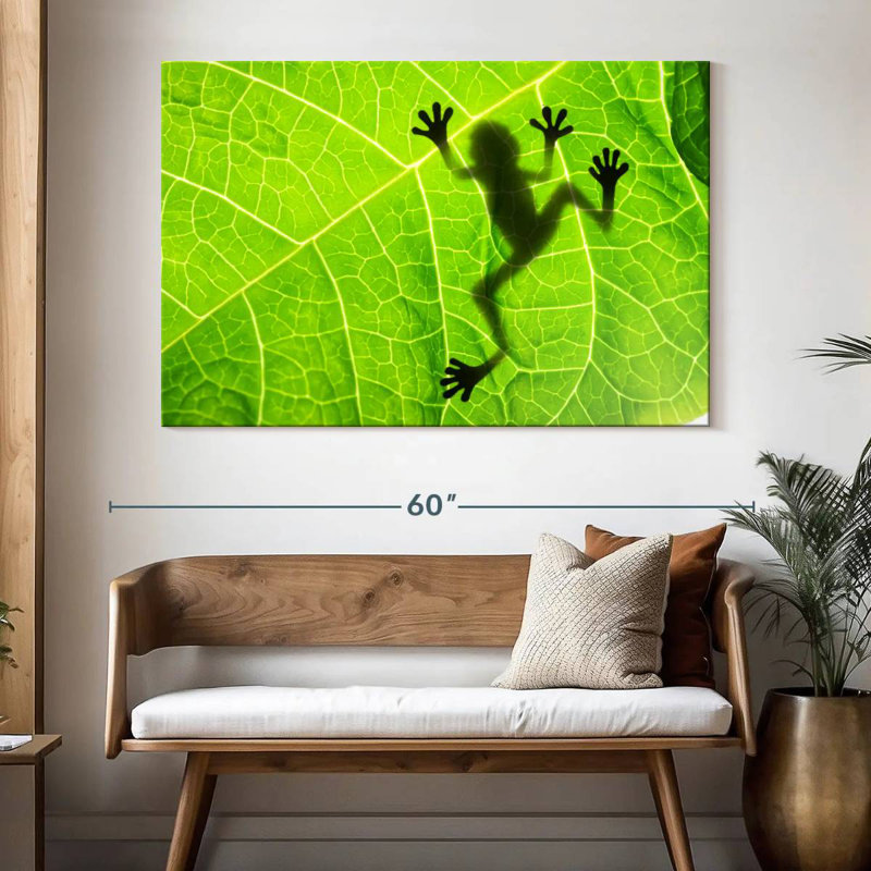 Brampt Frog Leaf Shadow