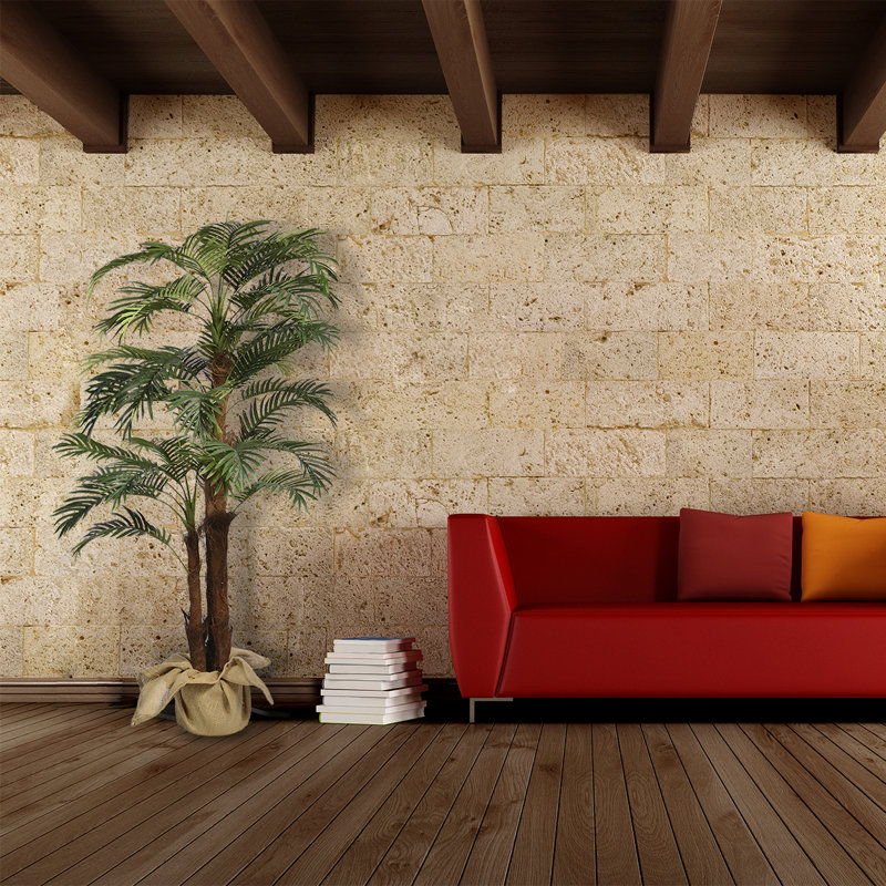 Panama Faning Floor Palm Tree