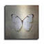 «French Butterfly II» par Debra Van Swearingen-2068000182