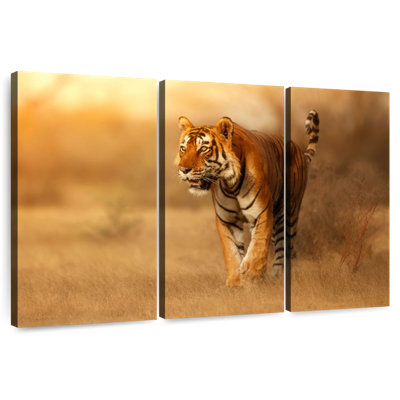 Hunting Tiger