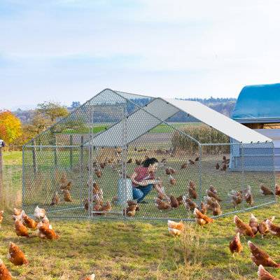 Emmeric Chicken Run