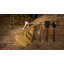 Spatule R, thermo frêne, H: 2,8 po