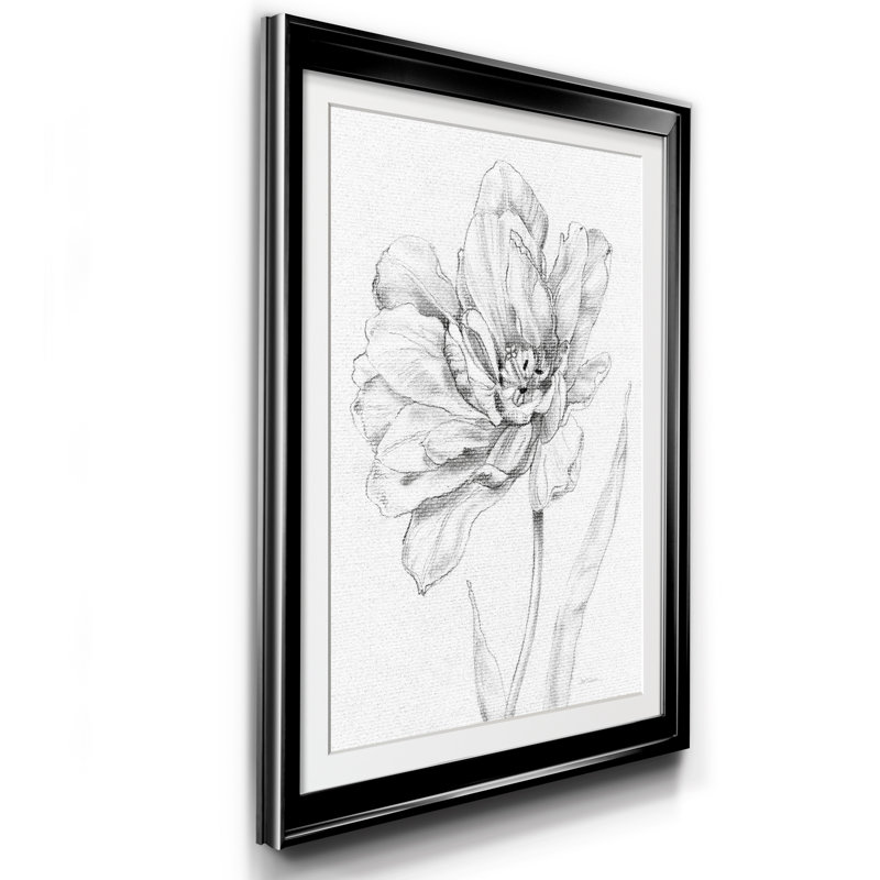 Croquis de tulipes - cadre photo, impression sur papier, Noir, H 18,5 po x l 24,5 po x P 1,5 po