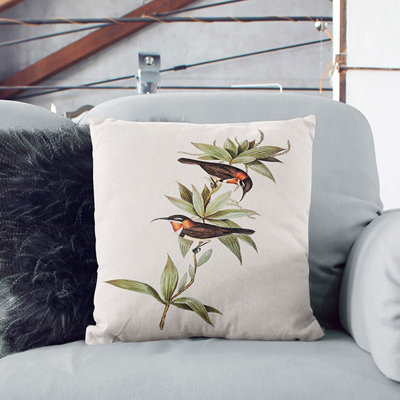 Double Eyebrowed Spinebills by Elizabeth Gould Cushion with Filling