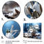 «Snowdrops Snowy Serenity I», art mural sur toile à motif floral-2060278620-2060278621