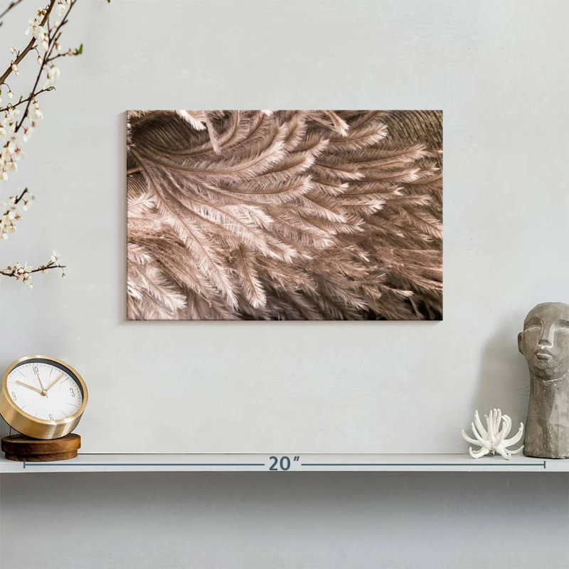 Brampt Ostrich Feathers, 8" H x 12" W
