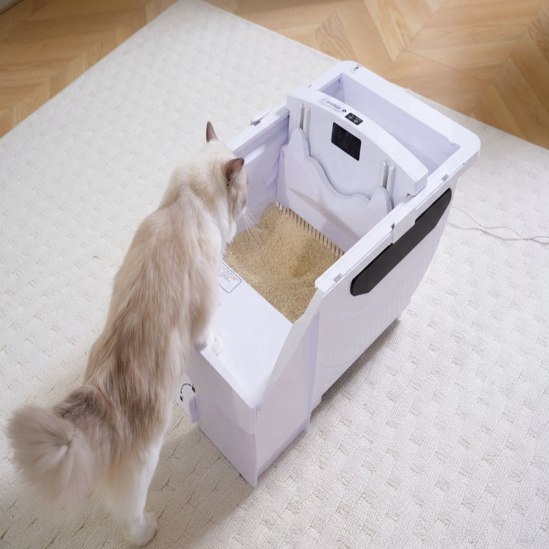 Litière pour chat Smart Smart