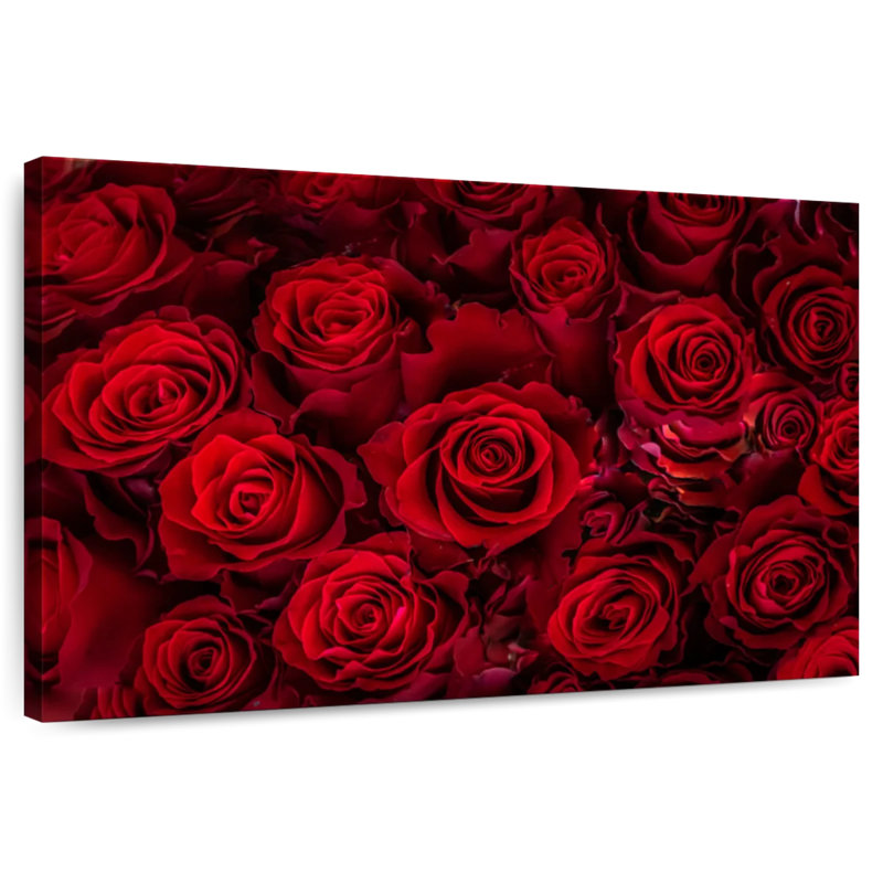 Hardie Lovely Red Roses