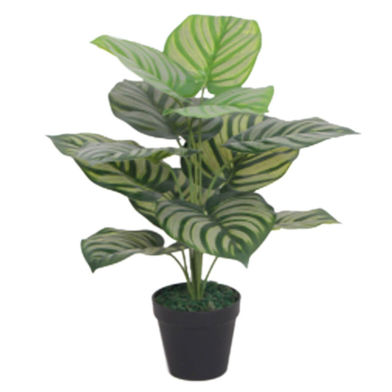 60cm Green Stripe Artificial Foliage Plant, 60cm H x 30cm W x 30cm D