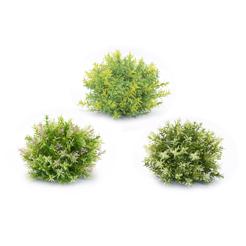 Grass Arrangement, 8" H x 10" W x 10" D