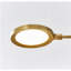 Spectica 6 Chandelier-821946751