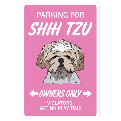 Shih Tzu