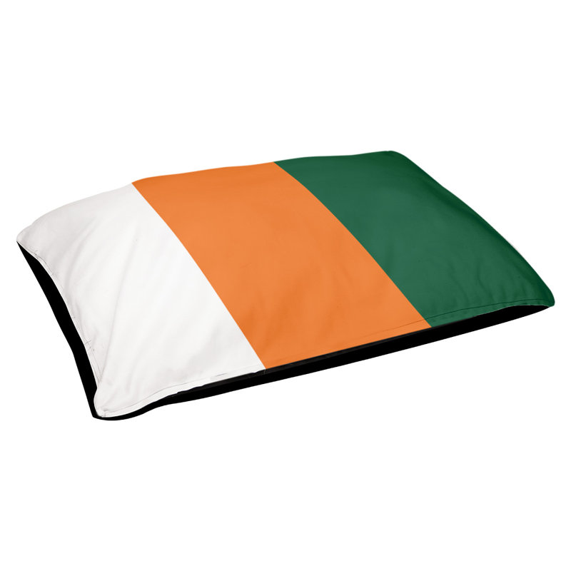 Coussin Miami, Très grand (l 50 po x P 40 po x H 7 po), Blanc / orange / vert