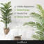 Birch Lane™ Artificial Palm Tree, Faux Dypsis Lutescens Plant in Pot with Dried Moss, 5 / 6 / 7 Feet-98582193
