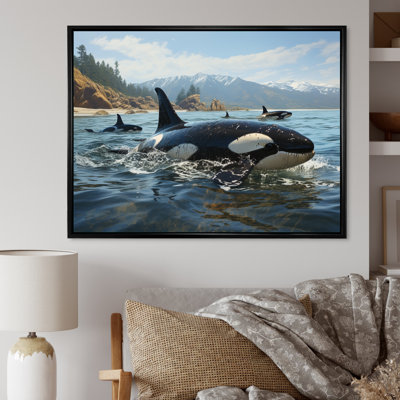 Black White Marine Animals Majestic Orcas - Marine Animals Framed Prints