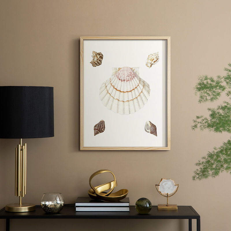 «Pastel Knorr Shells IV», H 21 po x l 17 po