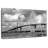 Lilie BW Cooper River Bridge-108116040
