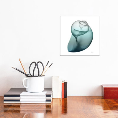 Water Snail III by Albert Koetsier - Wrapped Canvas Print