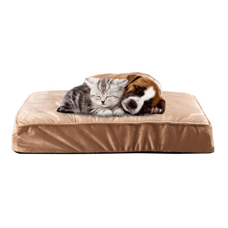 PETMAKER Egg Crate Memory Foam Pet Bed - 26 x 19, Small (26" W x 19" D x 4" H)