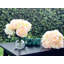 Hortensia artificielle et rose en vase