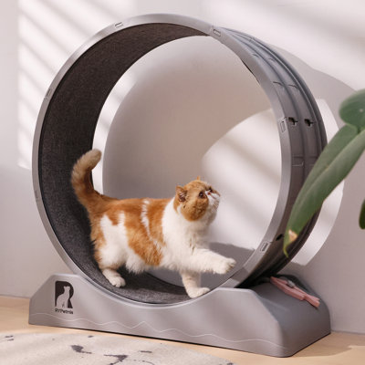 Emmani 33.5'' Noiseless and Lockable Cat Treadmill Exercise Running Wheel