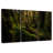 Milford Sound Rainforest