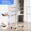 Shaunea Adjustable Standing Desk-1170192444