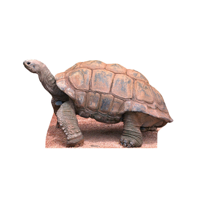 Animals Cardboard Standup