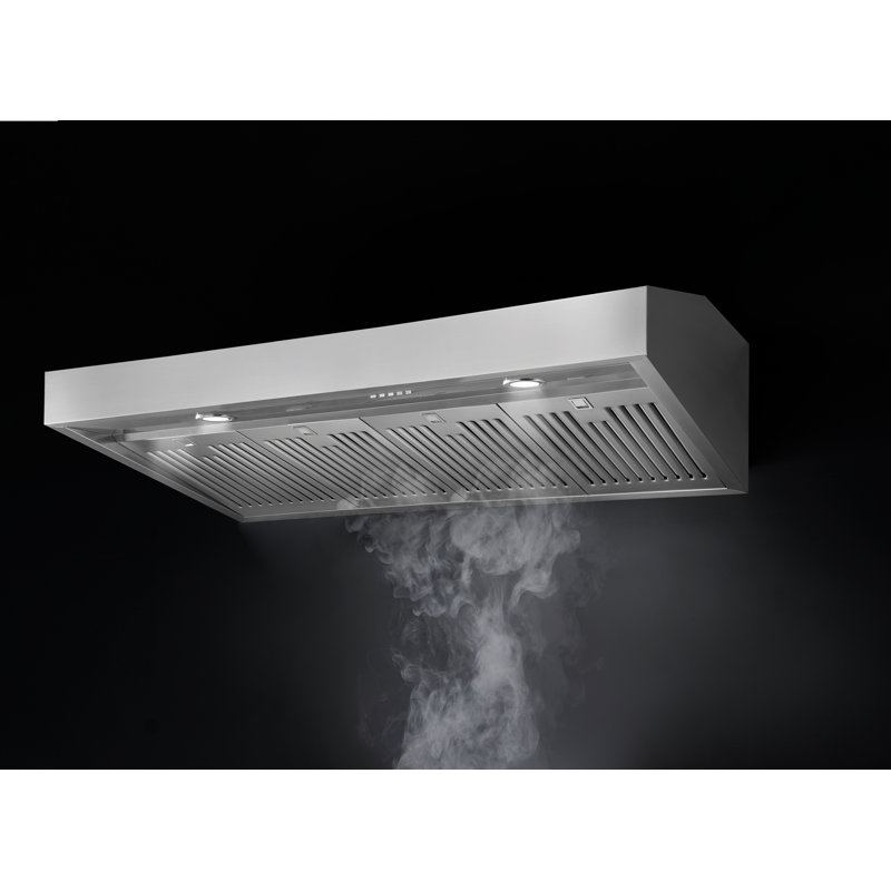 Hotte sous un meuble à conduit 48 pouces 1200 CFM en acier inoxydable