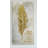 " Feather Live "-22481919