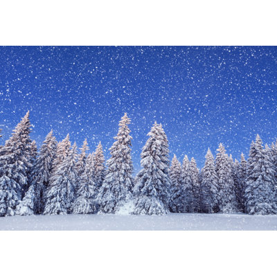 Idyllic Winter Day par Borchee