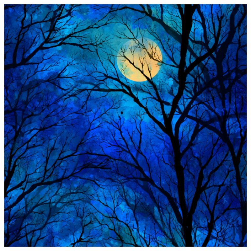 Toile tendue sur toile Moonlit Trees - Décoration murale nature en plusieurs tailles, 16 x 16 inches