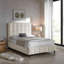 Upholstered Bed-1547091609