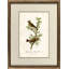 B703 Bird Print