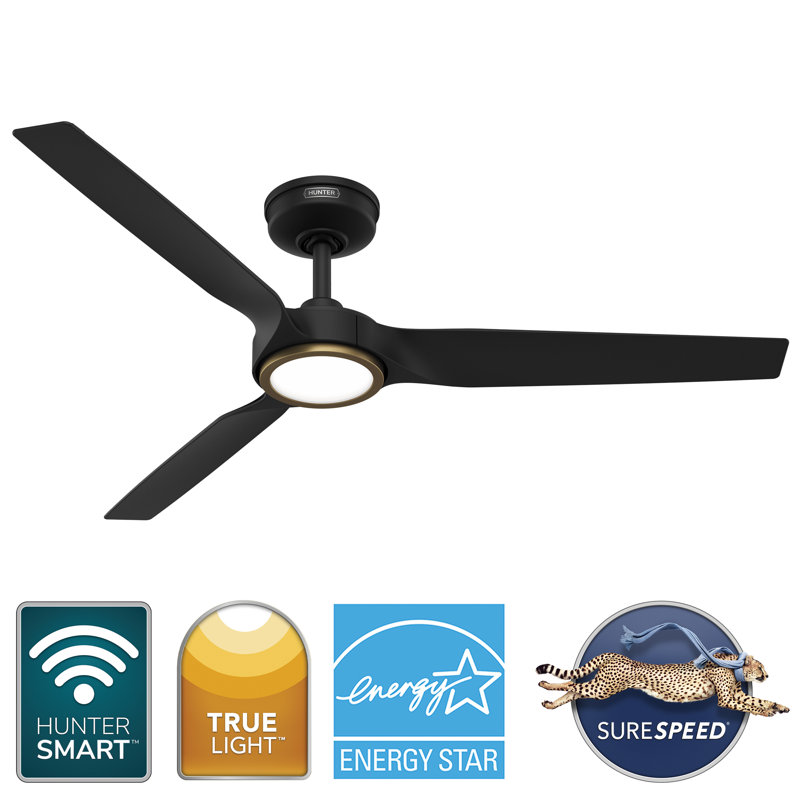 Hunter 52 inch ZenTech 3-Blade Wi-Fi ENERGY STAR® Damp Rated Ceiling Fan with LED Light Kit and Handheld Remote, Matte Black