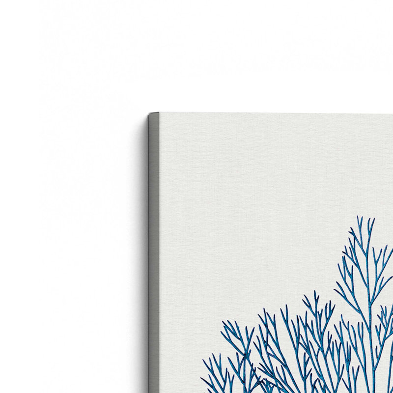 "Nature's Blueprint", reproduction sur toile, Toile tendue, H 12 po x l 8 po x P 1,25 po