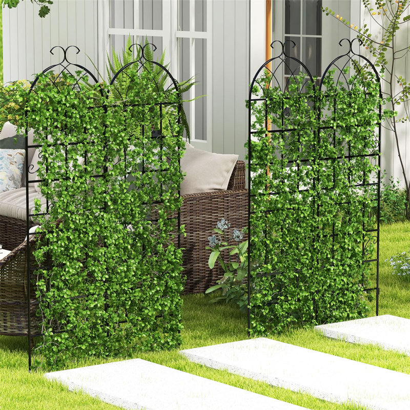 180cm H x 50cm W Metal Arched