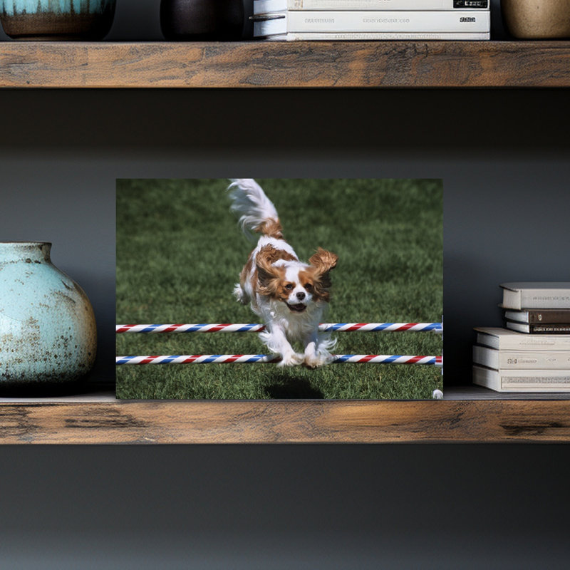 2000S Cavalier King Charles Spaniel Dog Agility Jumping Classic Retro Vintage Dog Wall Art, H 12 po x l 18 po