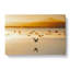 Birds on the Beach - Wrapped Canvas-55371805