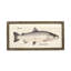 Silver Salmon Print-957647783